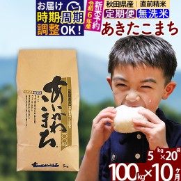 【ふるさと納税】※令和6年産 新米予約※《定期便10ヶ月》秋田県産 あきたこまち 100kg【無洗米】(5kg小分け袋) 2024年産 お届け周期調整