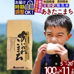 【ふるさと納税】※令和6年産 新米予約※《定期便11ヶ月》秋田県産 あきたこまち 100kg【無洗米】(5kg小分け袋) 2024年産 お届け周期調整