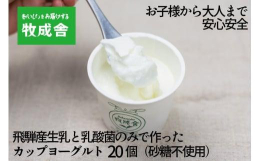 【ふるさと納税】砂糖不使用 プレーンヨーグルト 20個 飛騨の牛乳屋 牧成舎 生乳100％ 朝食におすすめ 無糖ヨーグルト プレーンヨーグル
