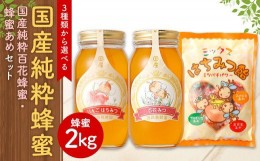 【ふるさと納税】【選べる蜂蜜】国産 純粋 蜂蜜 1kg 百花蜂蜜 1kg 蜂蜜あめ 1袋