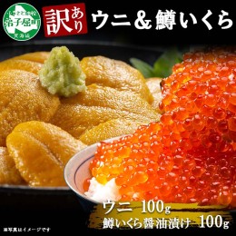 【ふるさと納税】1260. 訳あり うに チリ産 冷凍 鱒 いくら 醤油漬け ウニ100g マスいくら 100g 雲丹 不揃い うに わけ あり 海鮮 丼 海