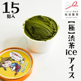 【ふるさと納税】【極】渋茶ice アイス 15個入 アイスクリーム あいす ふるさと納税 ギフト スイーツ お菓子 お祝い 詰合せ [AF025ya]