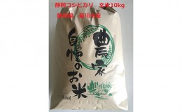 【ふるさと納税】静岡コシヒカリ 玄米 10kg　菊川市産