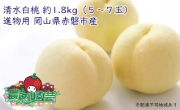 【ふるさと納税】桃 2024年 先行予約 清水 白桃 約1.8kg  5〜7玉 進物用 もも モモ フルーツ 果物 岡山 赤磐市産 農マル園芸 あかいわ農