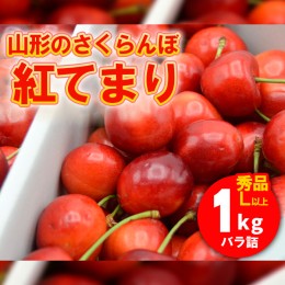 【ふるさと納税】山形のさくらんぼ 紅てまり 1kg Lサイズ以上 バラ詰 【令和6年産先行予約】FU21-616