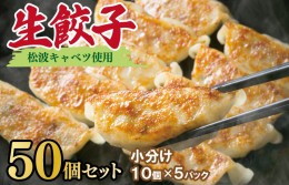 【ふるさと納税】生餃子50個セット 甘いと評判の松波キャベツ使用！まずはお試し 005A394