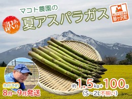 【ふるさと納税】【先行予約2024年産】マコト農園の夏アスパラガス！約1.5kg+100g（S〜2L不揃い）【訳あり】【8月〜9月発送】青森県鰺ヶ