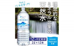 【ふるさと納税】「大雪旭岳源水」（2Ｌ×12本）×12ヶ月