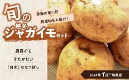 【ふるさと納税】【1月下旬発送】旬のお野菜「越冬ジャガイモセット」