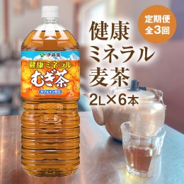 【ふるさと納税】『定期便：全3回』健康ミネラルむぎ茶2L×6本【500001】