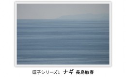 【ふるさと納税】写真家長島敏春　オリジナルプリント「逗子シリーズ1　ナギ」フレーム付き