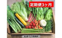 【ふるさと納税】旬の野菜・定期便（3か月）【配達不可：北海道・沖縄・離島】