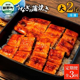 【ふるさと納税】田野町産うなぎの蒲焼き(大) 2尾×3回 定期便 3ヶ月 定期コース 1尾あたり120〜150g タレ付き 山椒付き うなぎ 鰻 ウナ