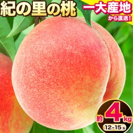 【ふるさと納税】桃 もも 和歌山県産 約4kg 《2024年6月中旬-8月中旬頃出荷》 紀の里の桃 送料無料 12-15玉入り 旬の桃を厳選 あかつき 