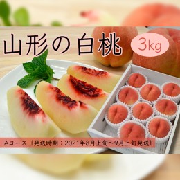 【ふるさと納税】山形の白桃3kg(5〜13玉)Aコース[柔らかくなる品種] 【令和6年産先行予約】FU18-894