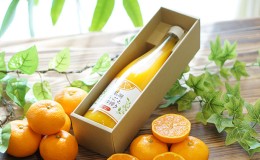 【ふるさと納税】三ヶ日みかんジュース「浜名湖まるごと純粋搾り」720ml 1本【静岡 三ヶ日 みかん ジュース】