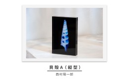 【ふるさと納税】zushi art gallery西村陽一郎写真作品　アクリルブロック「貝殻A（縦型）」