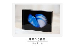 【ふるさと納税】zushi art gallery西村陽一郎写真作品　アクリルブロック「貝殻B（横型）」