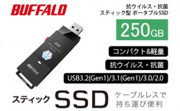 【ふるさと納税】BUFFALO バッファロー スティック型 SSD 250GB 抗ウイルス・抗菌 テレビ 録画 USB 電化製品 家電 パソコン PC周辺機器 