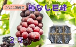 【ふるさと納税】2024年産 訳あり 種なし巨峰バラ房・バラ粒パック約2.5kg