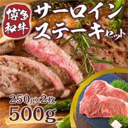 【ふるさと納税】博多和牛サーロインステーキセット 500g (250g×2枚)　DX005