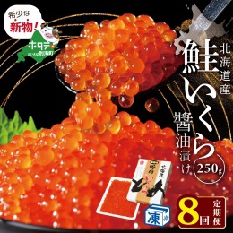 【ふるさと納税】計2kg【250g×1パック 8回 お届け】 8ヵ月 定期便 漁協 直送！本場「北海道」 いくら 醤油漬け【NKM08NQ05】( いくら い