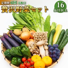 【ふるさと納税】定期便 6回奇数月コース 贅沢 野菜 セット どっさり 16品目以上 季節の野菜 フルーツ キノコ 詰め合わせ [吉岡青果 長崎