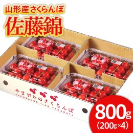 【ふるさと納税】山形産 さくらんぼ 佐藤錦 800g(200g×4パック） 【令和6年産先行予約】FU21-662