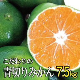 【ふるさと納税】【農家直送】こだわりの青切りみかん 約7.5kg  有機質肥料100%　 サイズ混合　※2024年9月下旬より順次発送予定（お届け