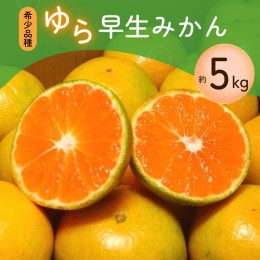 【ふるさと納税】【農家直送】甘くて濃厚！希少品種 ゆら早生みかん　約5kg  有機質肥料100%　 サイズ混合　※2024年10月末で申込締切　