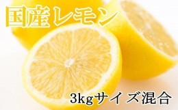 【ふるさと納税】【産直】和歌山産レモン約3kg（サイズ混合）※2024年3月中旬〜2024年5月下旬頃順次発送予定【tec504】