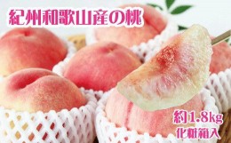 【ふるさと納税】紀州和歌山産の桃　約1.8kg　化粧箱入※2024年6月下旬頃2024年8月中旬頃順次発送（お届け日指定不可）