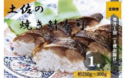 【ふるさと納税】【定期便】土佐の焼きサバ寿司（１本×６回発送）７切れ 総量約250g〜300g 特選鯖寿司 惣菜 おかず）【J00008】