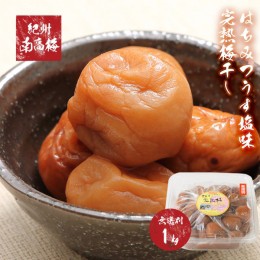 【ふるさと納税】紀州南高梅使用　はちみつうす塩味完熟梅干し 無選別1kg