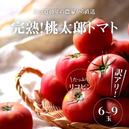 【ふるさと納税】訳あり この道40年の農家から直送 完熟！桃太郎トマト6〜9玉　H139-019