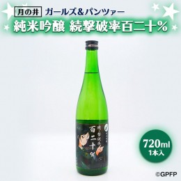 【ふるさと納税】純米吟醸 続撃破率百二十％ ガルパン 720ml 月の井 ガールズ＆パンツァー コラボ 大洗 地酒 日本酒 茨城