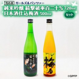 【ふるさと納税】純米吟醸 続撃破率百二十％ 720ml 日本酒 仕込み 梅酒 500ml ガルパン コラボ 2本 セット 国産梅 月の井 大洗 地酒 茨城