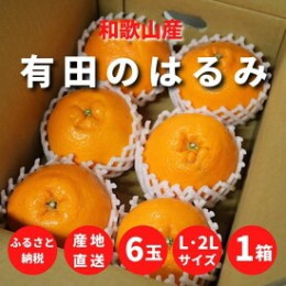 【ふるさと納税】ZE6093n_【先行予約】和歌山県産 有田の はるみ 6玉 (L〜2Lサイズ)【まごころ手選別】