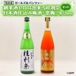 【ふるさと納税】純米酒 やれば出来る桂利奈 720ml 日本酒 仕込み 梅酒 恋梅 720ml ガルパン コラボ 2本 セット 国産梅 月の井 大洗 地酒