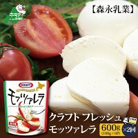 【ふるさと納税】【定期便】森永乳業 モッツァレラチーズ 600g(100g×6P) × 2ヵ月【全2回】