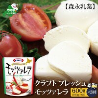 【ふるさと納税】【定期便】森永乳業 モッツァレラチーズ 600g(100g×6P) × 3ヵ月【全3回】