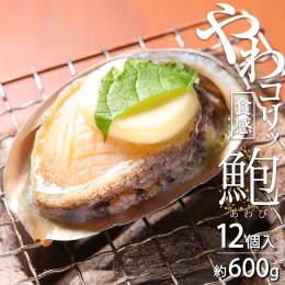 【ふるさと納税】ZG6011_やわコリ食感紀州活アワビ 【12個入】 約600g