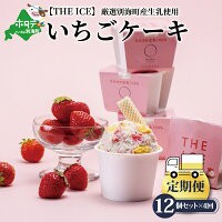 【ふるさと納税】【毎月定期便】【THE ICE】いちごケーキ12個セット×4ヵ月定期便【be003-1071-100-4】（J FARM AMUSE 株式会社）（いち