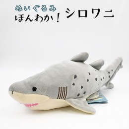 【ふるさと納税】ぬいぐるみ シロワニ アクアワールド 大洗 オリジナル サメ グッズ 茨城 水族館 さめ 鮫 限定