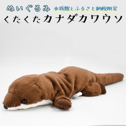 【ふるさと納税】ぬいぐるみ カワウソ アクアワールド 大洗 オリジナル グッズ 茨城 水族館 くたくたカナダカワウソ かわうそ 限定