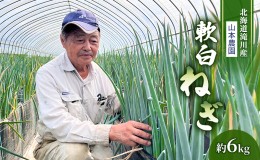 【ふるさと納税】北海道 滝川市 産 軟白ねぎ 約6kg＜2024年7月下旬〜順次出荷＞｜ネギ ねぎ 軟白ネギ 野菜 2024年発送 令和6年発送 やさ