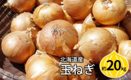 【ふるさと納税】北海道産 玉ねぎ 約20kg＜2024年9月下旬〜順次出荷＞｜北海道 滝川市 野菜 たまねぎ 玉ネギ タマネギ 2024年発送 令和6