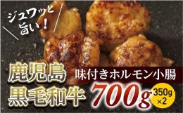 【ふるさと納税】味付きホルモン小腸700g(350g×2)　鹿児島黒毛和牛【尾崎牧場】