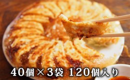 【ふるさと納税】北海道産豚肉の餃子 120個｜北海道 滝川市 ギョウザ 餃子 ぎょうざ 中華 惣菜 お惣菜 おかず