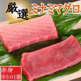 【ふるさと納税】厳選ミナミマグロ赤身、中トロ食べくらべ【誉丸】